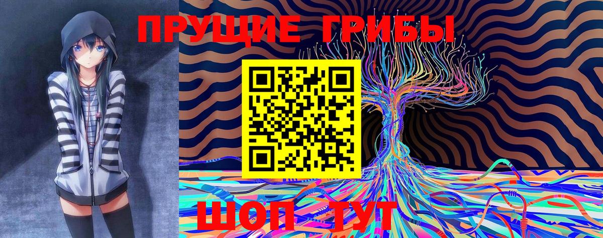 Батайск  Псилоцибиновые грибы мухоморы  Псилоцибиновые грибы Magic Shrooms  Вход с VPN 